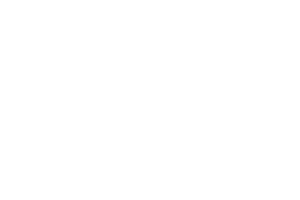 Vincent Capital