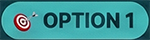 Option 1