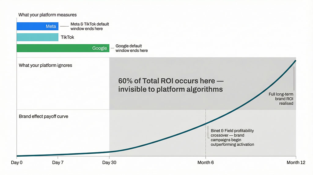 Horizontal timeline comparing platform attribution windows against brand effect payoff horizons. Meta and TikTok attribution bars end at 7 days, Google at 30 days, while the brand ROI curve continues rising for 12 months. A shaded region labelled 'What your platform ignores' covers months 1 through 12, annotated with '60% of Total ROI occurs here.' The profitability crossover point where brand campaigns begin outperforming activation is marked at month 6.