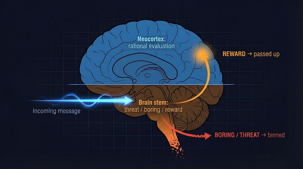 Diagram showing a brain stem filter intercepting an incoming marketing message before conscious attention forms, routing it to threat, boring, or reward