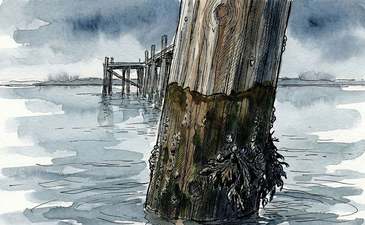 A weathered harbour pier post photographed at low tide, the current waterline sitting significantly below a prominent tide mark stained into the wood — a visual metaphor for a business whose revenue continues but whose growth momentum has quietly receded, leaving an irrefutable mark of where things used to reach.