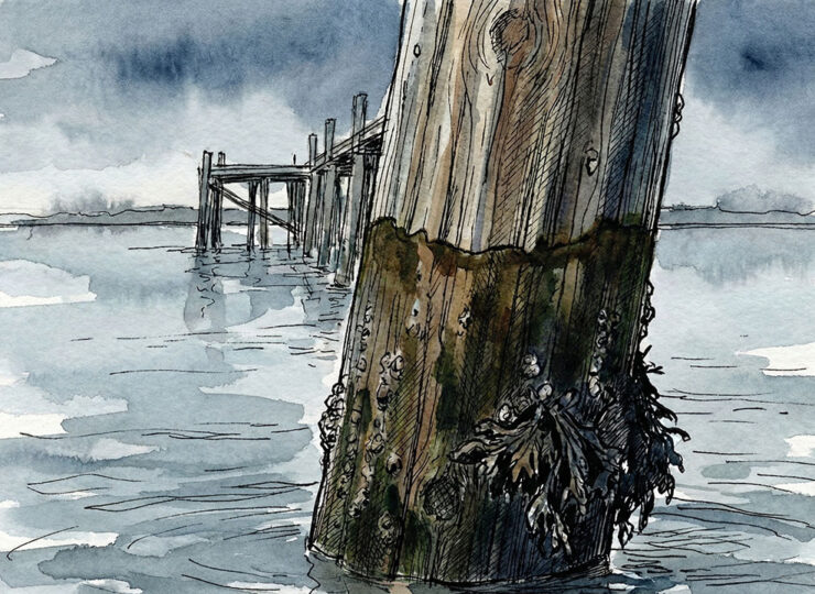 A weathered harbour pier post photographed at low tide, the current waterline sitting significantly below a prominent tide mark stained into the wood — a visual metaphor for a business whose revenue continues but whose growth momentum has quietly receded, leaving an irrefutable mark of where things used to reach.